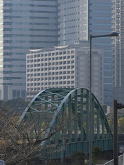 Fototapeta premium 都市をつなぐ橋と高層建築
