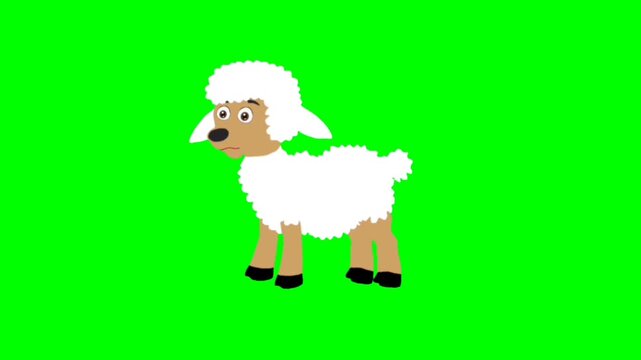 vector illustration of a sheep