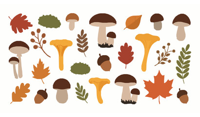 Autumn Forest Mushroom and Plant Collection Hand Drawn Flat Vector Illustration © BijoyChandra