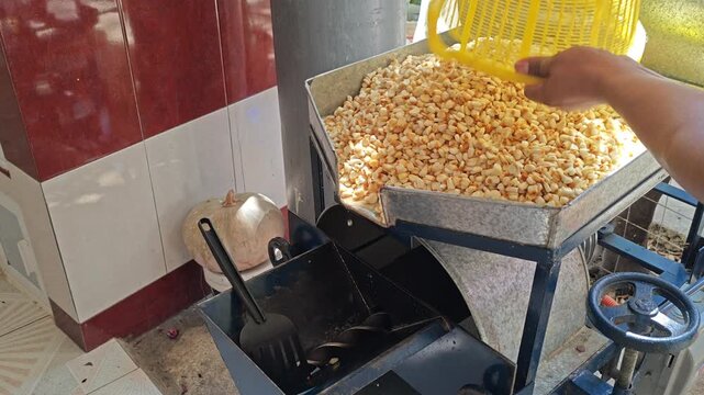 Close up of hands pouring corn nixtamal into a traditional grinding mill.