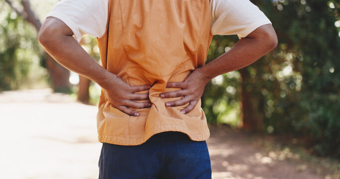 Man, hands and fitness in forest with back pain, muscle spasm and hiking injury. Male person, trekking and sore in nature with exercise burnout, joint inflammation and massage to relieve tension