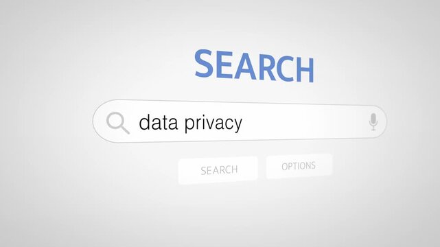 Corporate style search tool highlighting privacy and security features