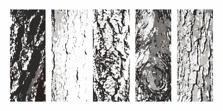 Five vertical illustrations depicting varying textures of tree bark