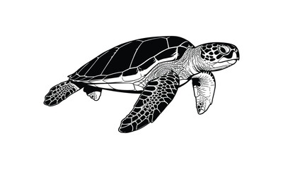 Obraz premium Detailed sea turtle silhouette swimming underwater ocean life vector