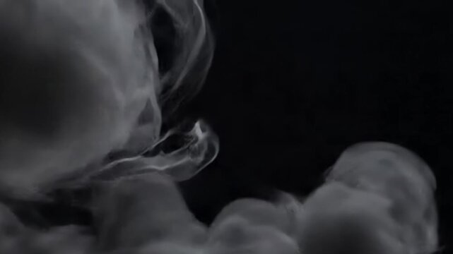 Ethereal Smoke Dynamics A slow-motion capture of the organic, fluid movement of a smoke plume, specifically highlighting how its diffused edges continuously transform and blend.