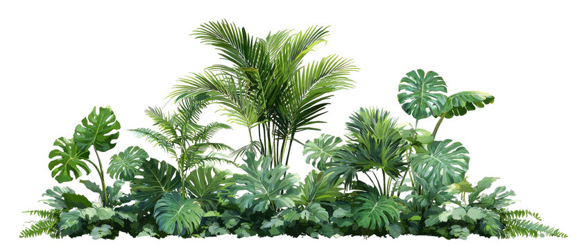 Lush tropical foliage cluster (9)