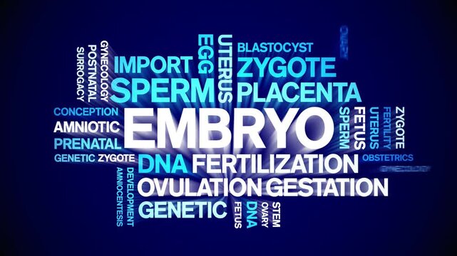 Embryo animated word cloud-text design animation tag kinetic typography seamless loop.