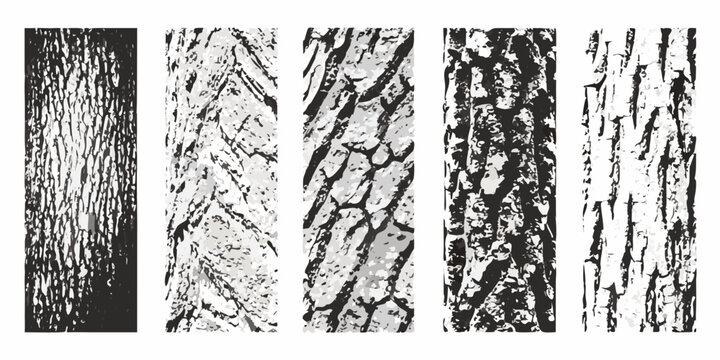 Five vertical rectangular patterns resembling tree bark textures