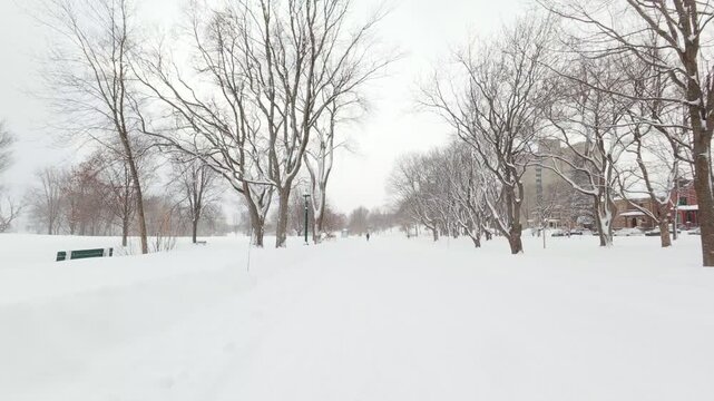 Quiet winter park landscape with snow and leafless trees under cloudy sky.