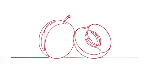 A simple doodle graphic depicting two plums cut in a single line, ideal for any design project.

