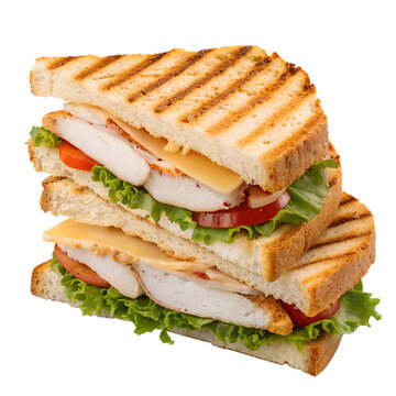 Chicken panini isolated on transparent background