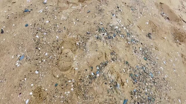 a person walks on the sand and shows teh sea and the coast