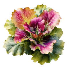 Elaborate ruffled ornamental cabbage with pink, green, and yellow hues