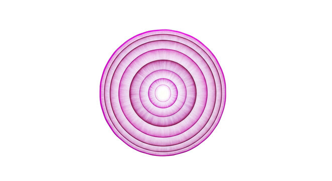 Red Onion Slice with Concentric Rings