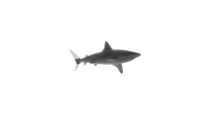 Realistic black and white illustration of a shark swimming in the ocean isolated on a white background