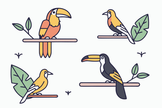 Minimalist vector illustration set of tropical toucans and exotic birds perched on branches, flat line art design for nature and wildlife concepts