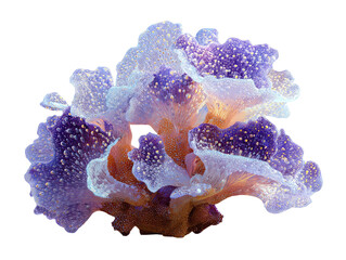 Glowing coral bloom with purple tips and yellow dots, surreal against black