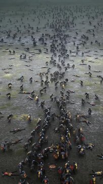 Medieval battle scene in a muddy field showing warriors with shields, axes, and spears in combat, a war historical operation footage.