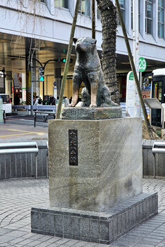 Tokyo, Japan January 15, 2026 Hachiko Dog Statue at Shibuya Station in Tokyo, Japan.