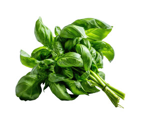 Fresh basil bundle, vibrant green leaves clustered against stark black backdrop