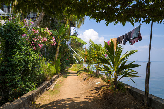 A sun-dappled dirt path winds along the lush backwater edge in Alappuzha, India, bordered by flowering plants, palm trees, and laundry drying above the calm water. The scene feels vibrant and relaxed