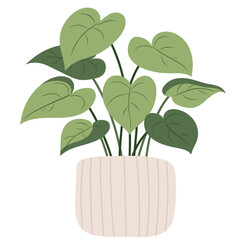 Philodendron Indoor Plant Illustration. Potted House Plant. Hand Drawn Vector Illustrations © guzelika