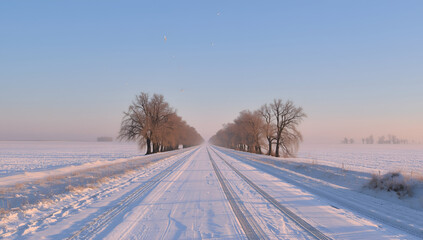 Obraz premium Snowy Road with Bare Trees Under Clear Blue Sky During Winter