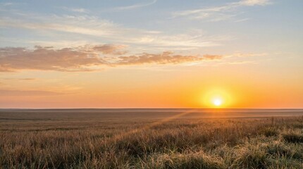 Sun rising over horizon on a clear morning in a grassy field  