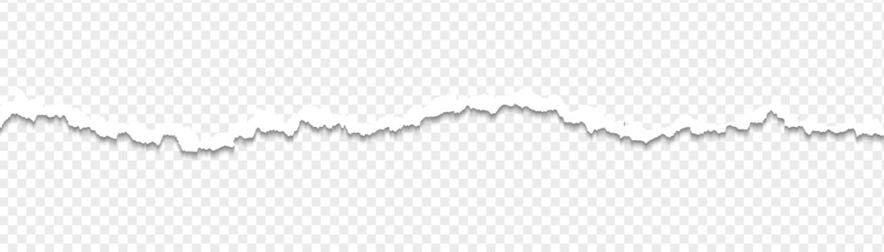 Ripped paper strips with rough torn edges