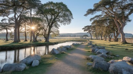 Obraz premium A tranquil countryside path stretches between vibrant autumn fields, dappled sunlight streams through tall trees, guiding wanderers to adventure and peace in nature’s embrace