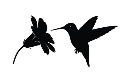 Obraz premium a striking black silhouette of a hummingbird hovering near a delicate flower