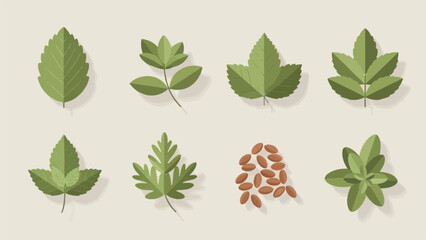Assortment of green leaves, seeds, and herbs on a neutral background