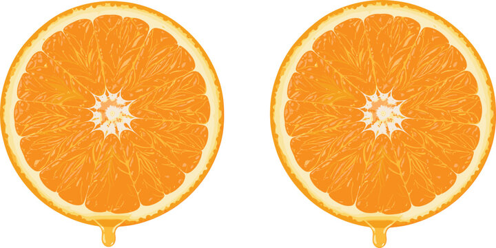 Fresh orange slice illustration with juicy citrus texture, healthy fruit design for food, summer, and beverage themes