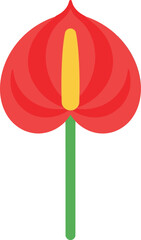 Minimalist Red Anthurium Flower Vector Illustration Isolated on White Background