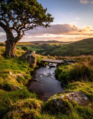 Serene landscape stream flows under bridge, oak tree frames sunset