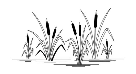 Black and White Illustration of Cattails. © Nasoha