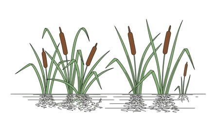 Cattails Growing in Wetland Water. © Nasoha