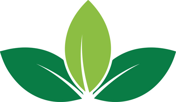 Simple green leaf logo design