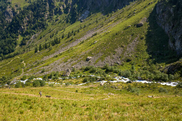 A person with a dog walks along a sunlit grassy hillside beside a winding river in a steep Pyrenean valley, surrounded by rugged terrain and scattered trees.