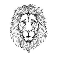 Minimalist line art illustration of a lion's mane and face, bold and regal design for corporate branding, marketing visuals, and editorial use