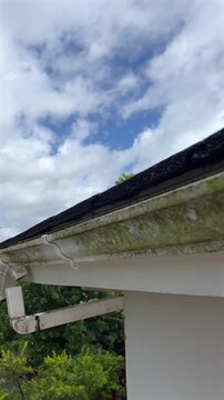 Vertical shot of a neglected residential rain gutter with plants and grass growing inside, revealing a disconnected downspout pipe joint. 4K ProRes 30fps.