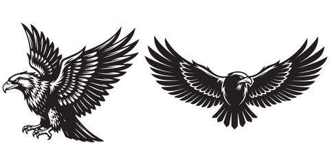 Obraz premium Eagle flying predator bird soaring wing majestic freedom powerful eps 10