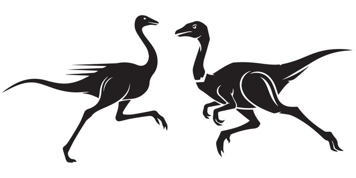 Two running ornithomimus dinosaurs in black silhouette on white eps 10