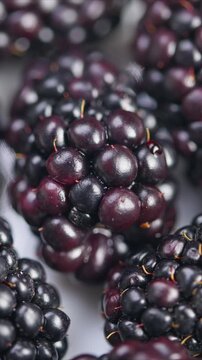 Clustered ripe blackberries on white background, Fresh ripe blackberries with reflective gloss and delicate drupelets on plain white backdrop for packaging or marketing