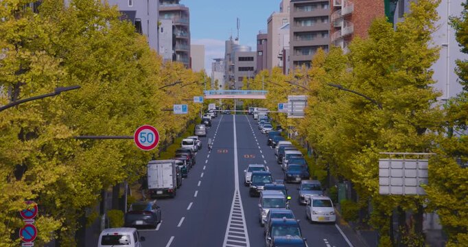 A cityscape of traffic jam at the yellow gingko city street in autumn