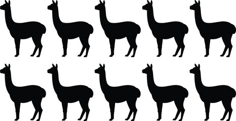 Obraz premium Black llama silhouette pattern set with multiple standing poses animal vector illustration isolated on white background for textile branding design