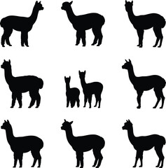Obraz premium Alpaca and llama silhouettes collection, farm animals standing poses, livestock wildlife illustration, isolated black animal figures set