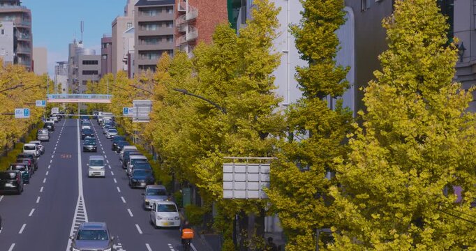 A cityscape of traffic jam at the yellow gingko city street in autumn