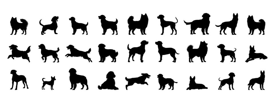 Black silhouette dogs. Simple pet icon.