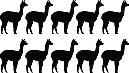Obraz premium Black llama silhouette repeating set with multiple standing poses animal vector illustration isolated on white background for pattern textile branding design